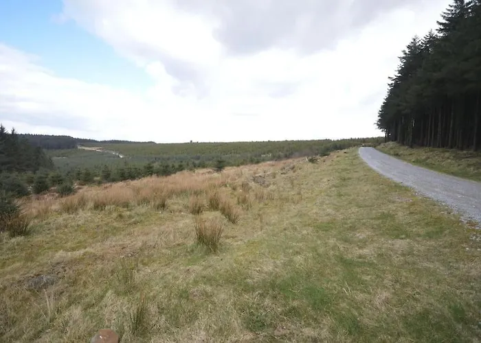 Mountain Escape - Cosy 2 Bed House In Afan Valley